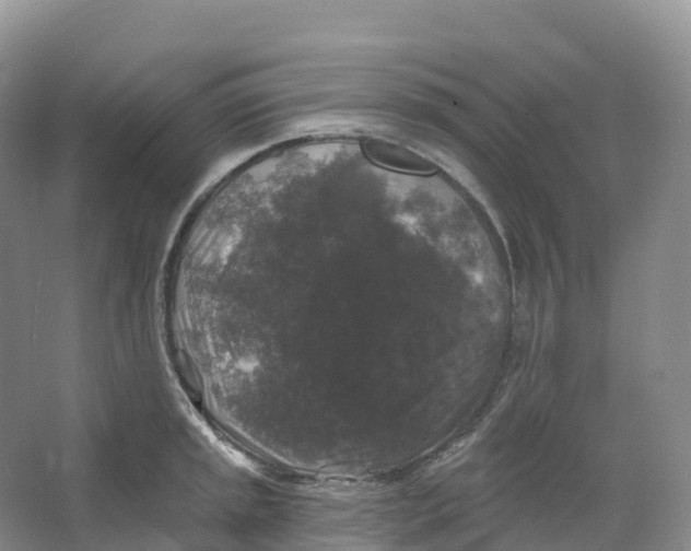 X0000066971045200604142136