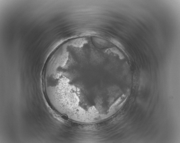 X0000066971047200604142136