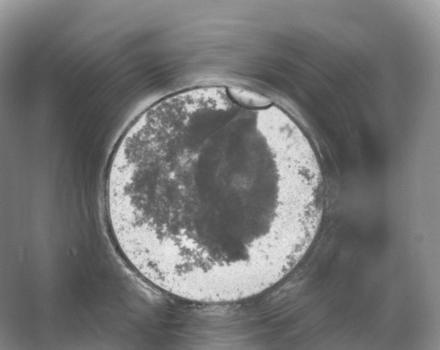 X0000066971048200604142136