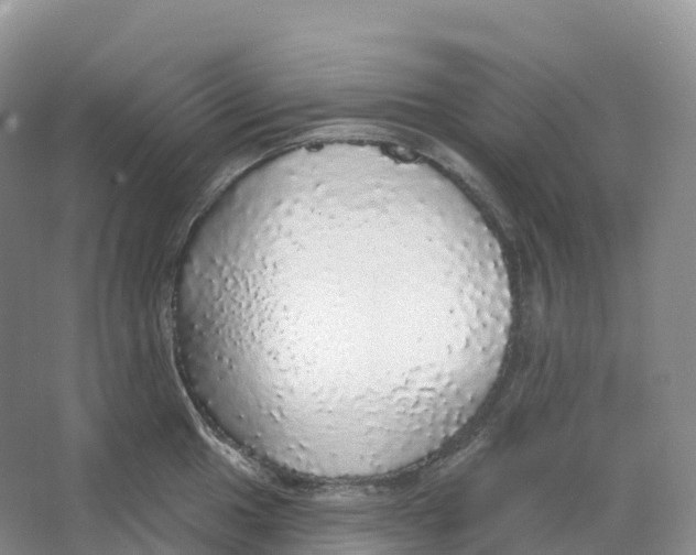 X0000066971049200604142136