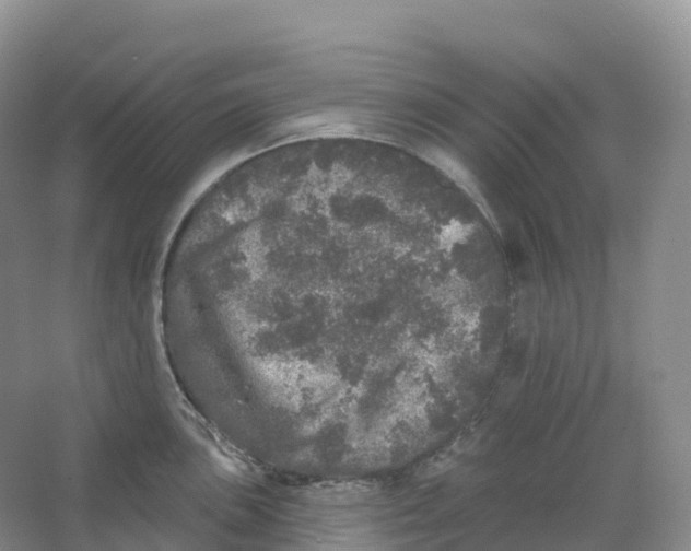 X0000066971051200604142136