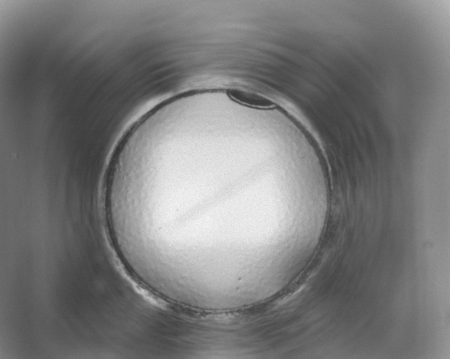 X0000066971053200604142136