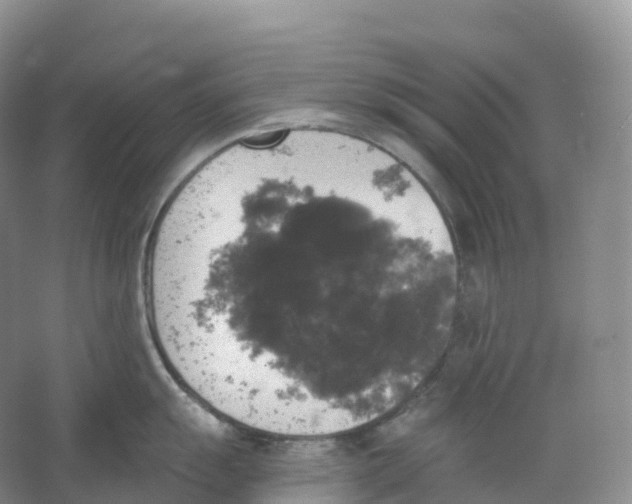 X0000066971055200604142136