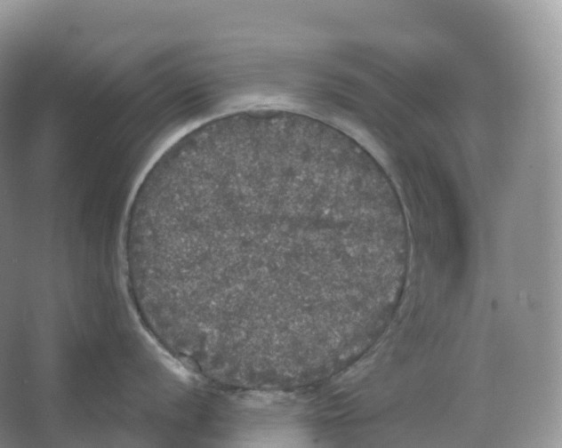 X0000066971056200604142136