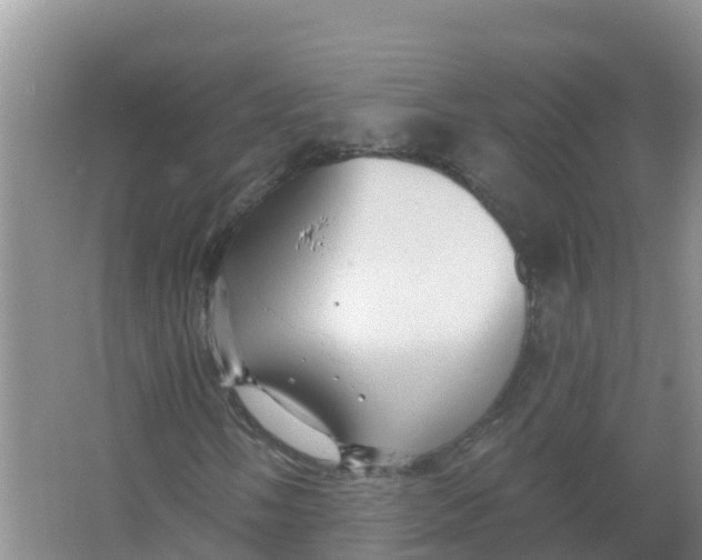 X0000066971058200604142135