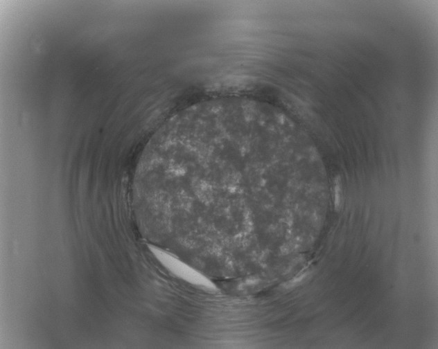 X0000066971059200604142135