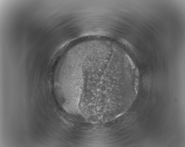 X0000066971064200604142135