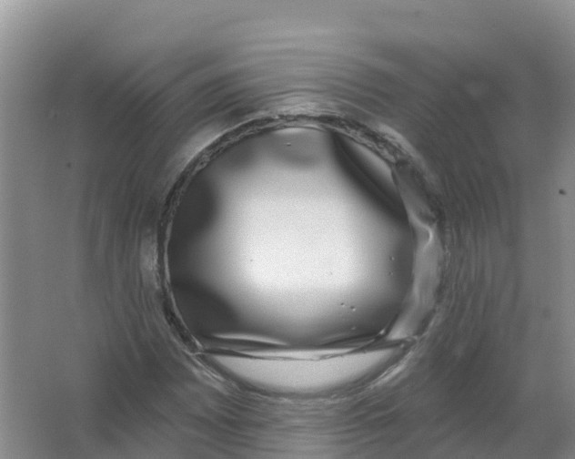 X0000066971065200604142135