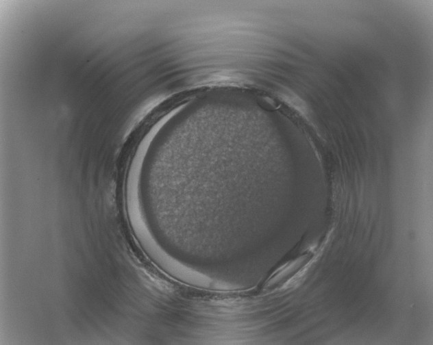 X0000066971066200604142135