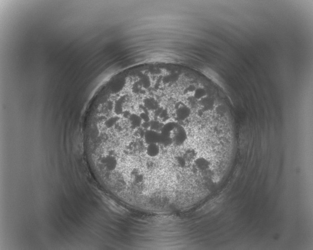 X0000066971067200604142135