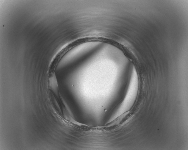 X0000066971069200604142135