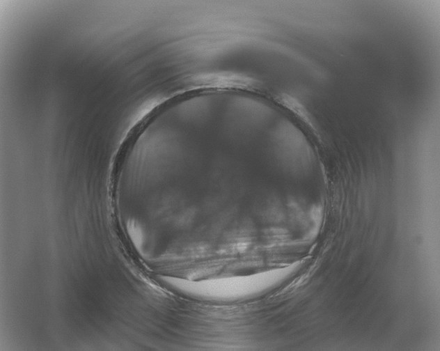 X0000066971071200604142135