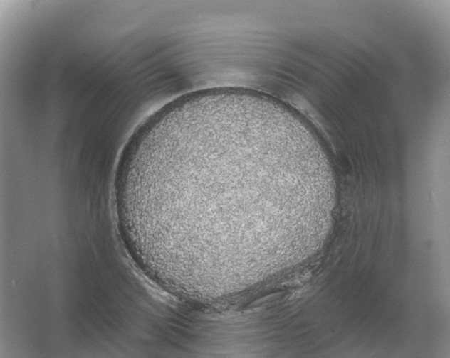 X0000066971072200604142135