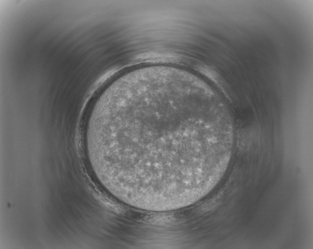 X0000066971074200604142135