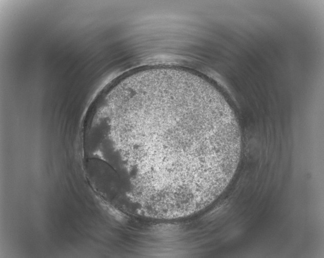 X0000066971075200604142135