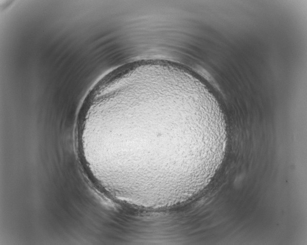 X0000066971076200604142135