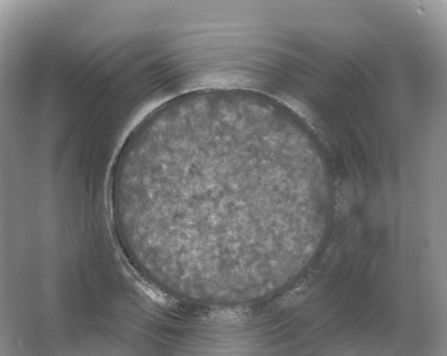 X0000066971078200604142135