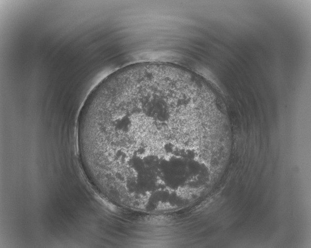 X0000066971079200604142135