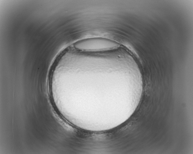 X0000066971080200604142135