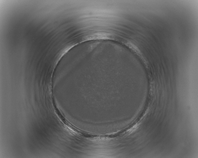 X0000066971081200604142135