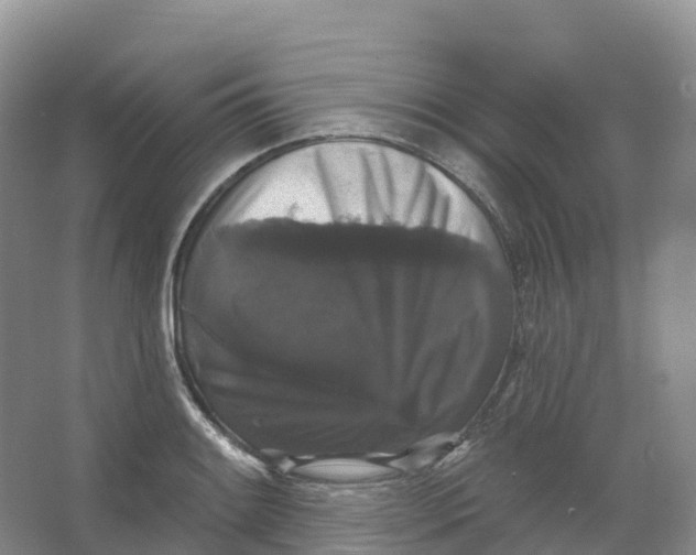 X0000066971084200604142135