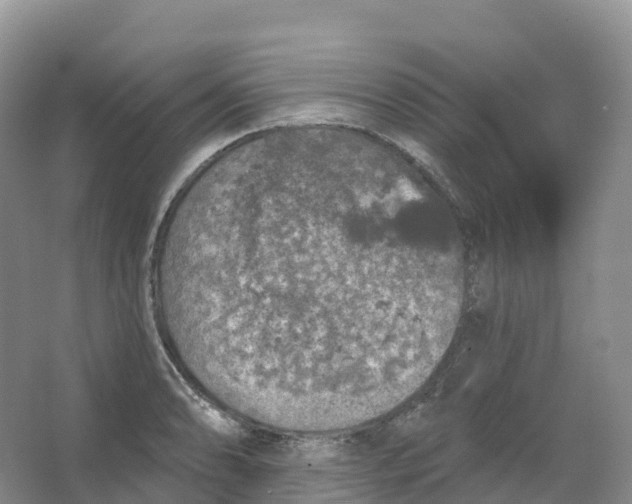 X0000066971086200604142134