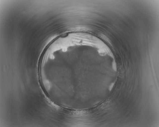 X0000066971087200604142134