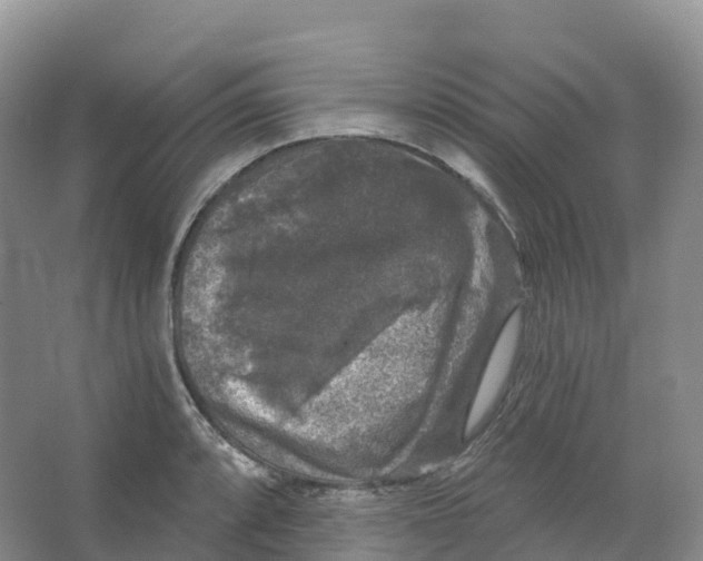 X0000066971088200604142134