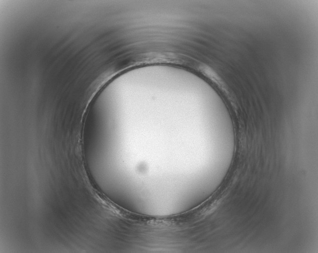 X0000066971089200604142134