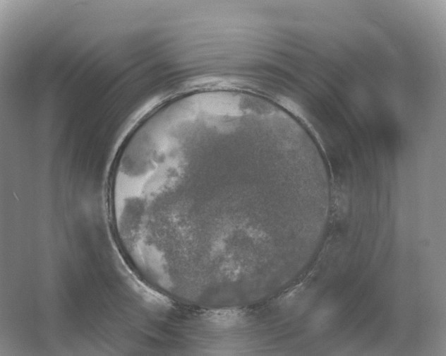 X0000066971090200604142134