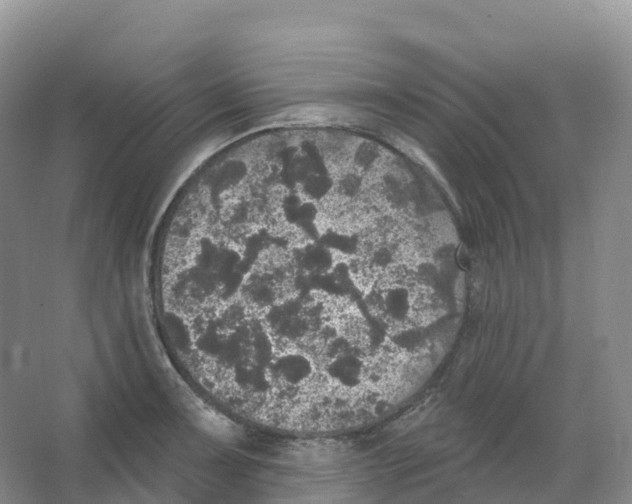 X0000066971091200604142134