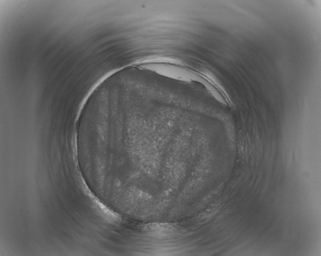 X0000066971092200604142134