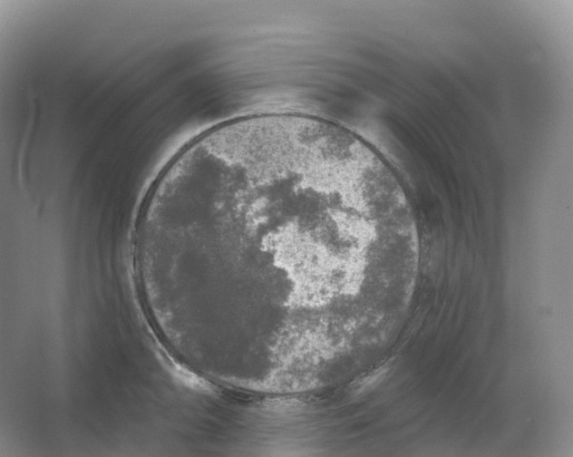 X0000066971094200604142134