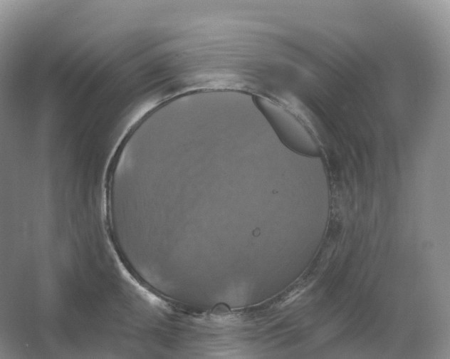 X0000066971095200604142134