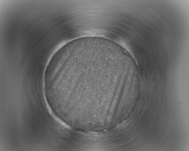 X0000066971096200604142134