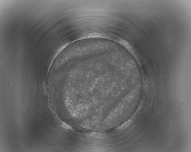 X0000066971097200604142134