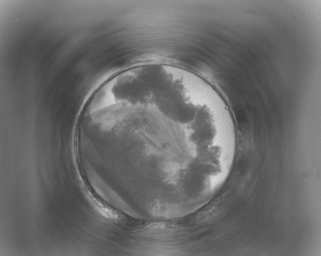 X0000066971098200604142134