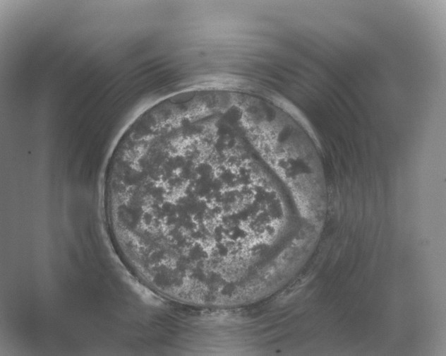 X0000066971099200604142134