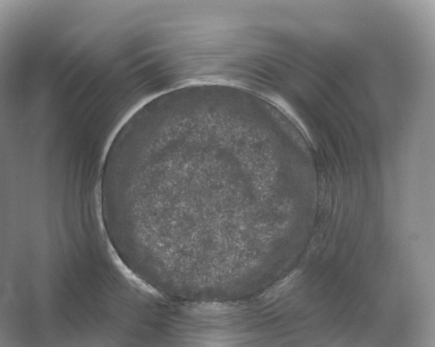 X0000066971100200604142134