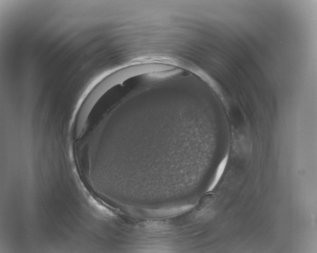 X0000066971102200604142134