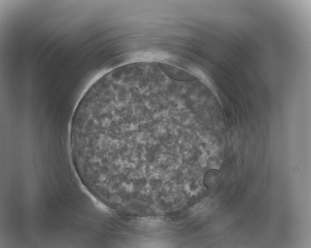 X0000066971103200604142134