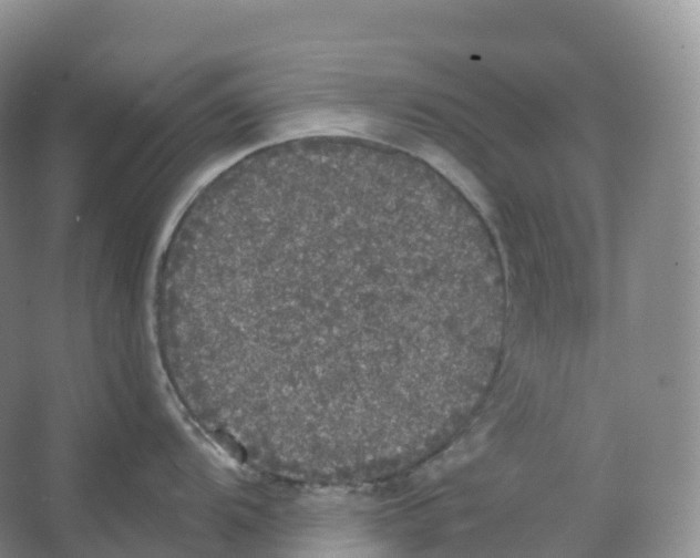 X0000066971104200604142134