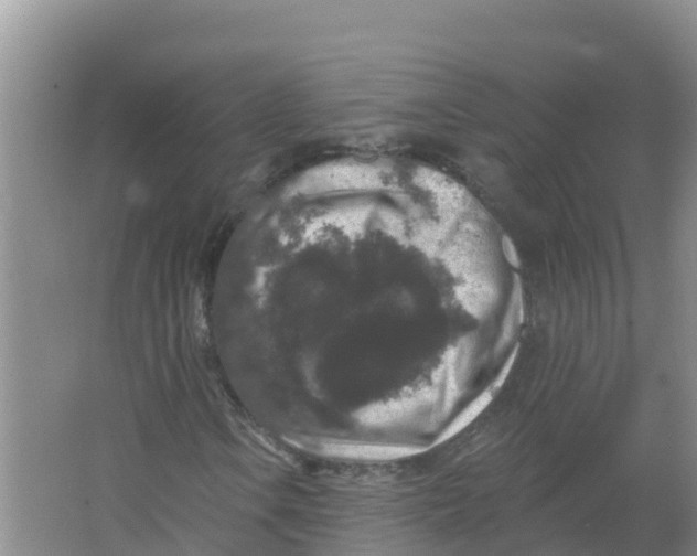 X0000066971106200604142133