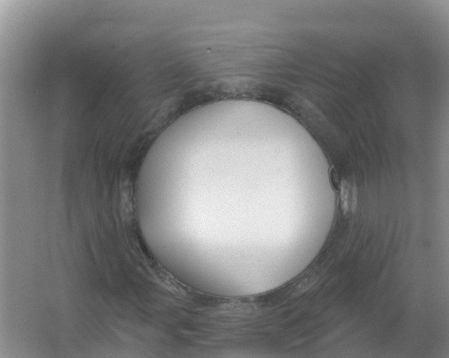 X0000066971107200604142133