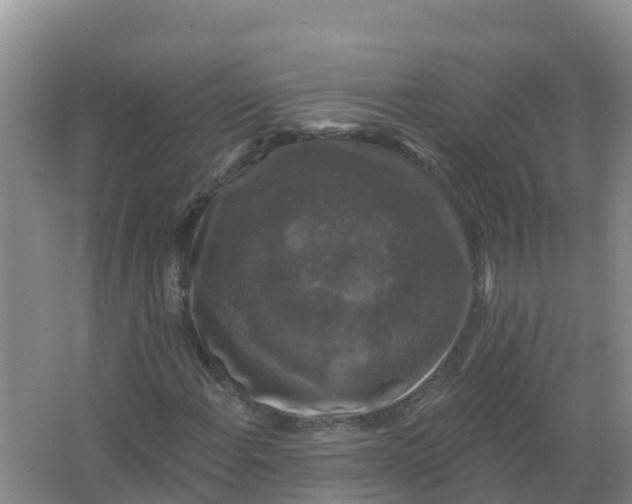 X0000066971108200604142133