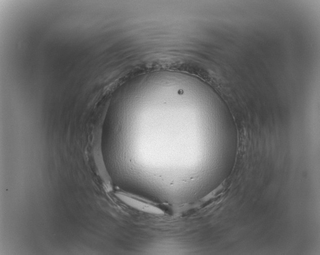 X0000066971109200604142133