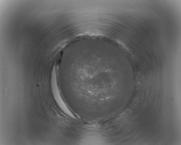 X0000066971110200604142133