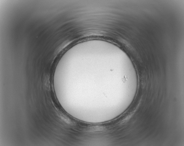 X0000066971113200604142134