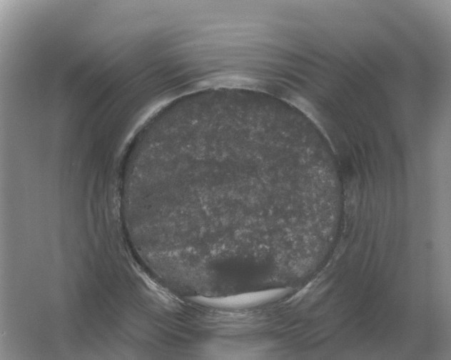 X0000066971115200604142134