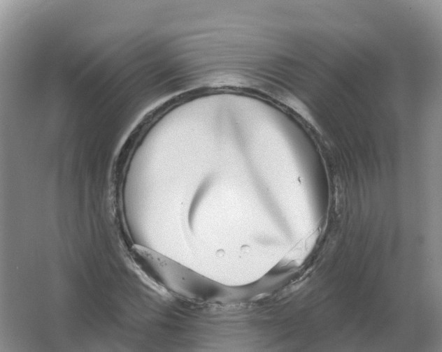 X0000066971116200604142134